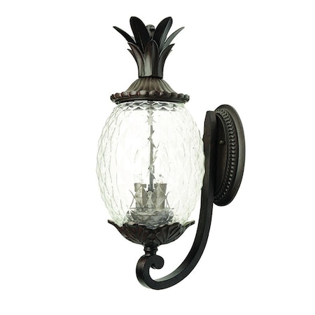 Estallar 18 x 7.5 x 10 in. Lanai 2-Light Black Coral Wall Light ES2627673